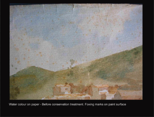 Water colour on paper - Before conservation treatment. Foxing marks on paint surface